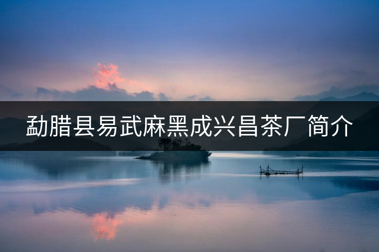 勐臘縣易武麻黑成興昌茶廠(chǎng)簡(jiǎn)介 勐臘縣易武麻黑成興昌茶廠(chǎng)簡(jiǎn)介