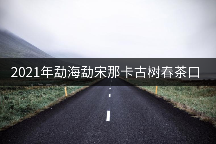 2021年勐海勐宋那卡古樹春茶口感？