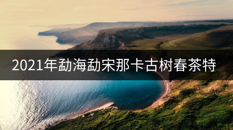 2021年勐海勐宋那卡古樹春茶特點(diǎn)？