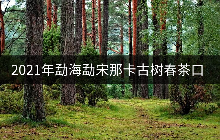 2021年勐海勐宋那卡古樹春茶口感特點(diǎn)？