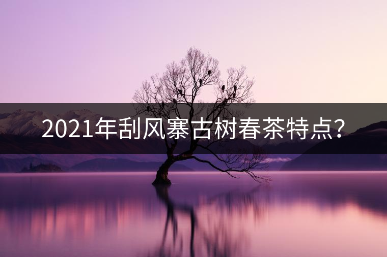 2021年刮風(fēng)寨古樹(shù)春茶特點(diǎn)？