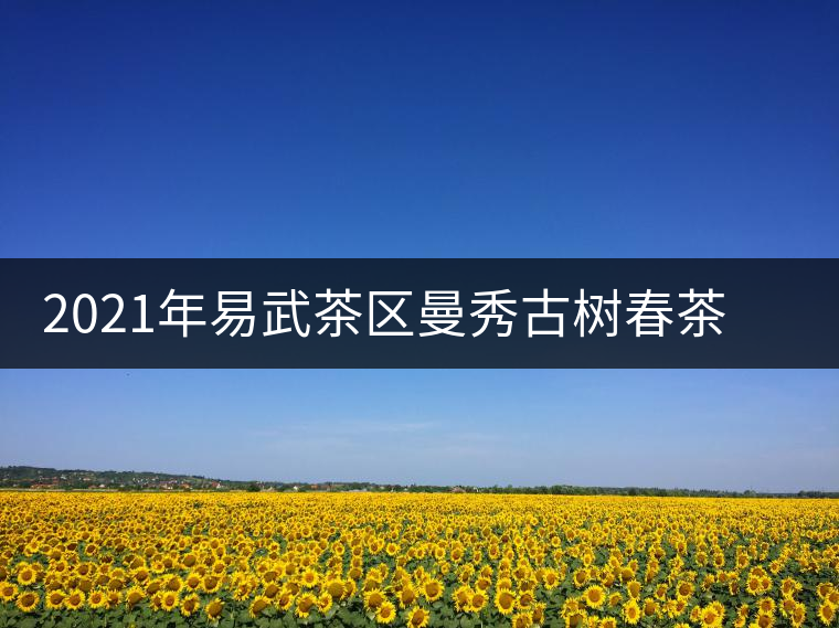 2021年易武茶區(qū)曼秀古樹春茶多少錢一公斤