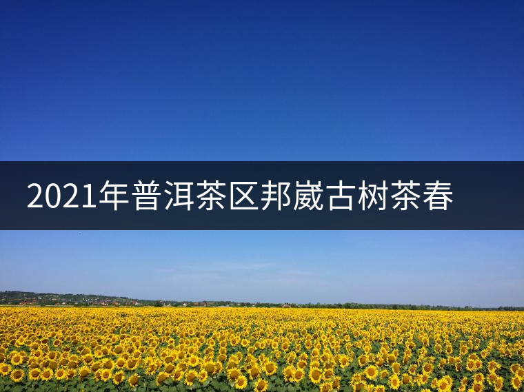 2021年普洱茶區(qū)邦崴古樹茶春茶口感特點(diǎn)介紹 2021年普洱茶區(qū)邦崴古樹茶春茶口感特點(diǎn)介紹