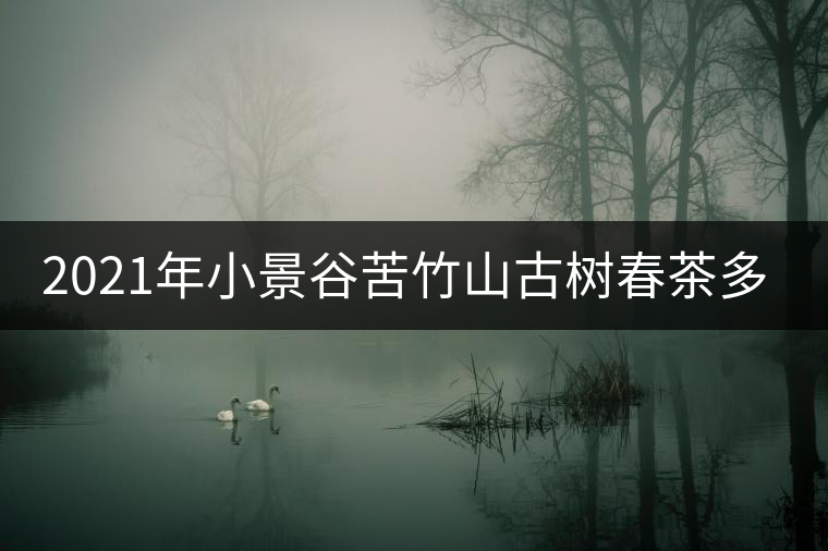 2021年小景谷苦竹山古樹春茶多少錢一公斤？