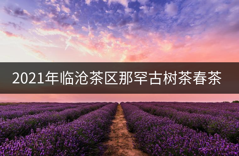 2021年臨滄茶區(qū)那罕古樹(shù)茶春茶多少錢(qián)一公斤？