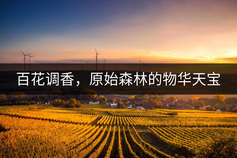 百花調(diào)香，原始森林的物華天寶