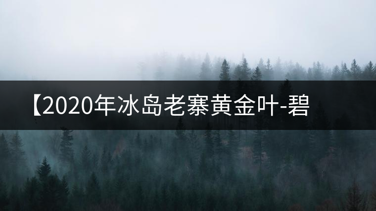 【2020年冰島老寨黃金葉-碧波蕩漾一抹香，輕啜半盞甘若露。