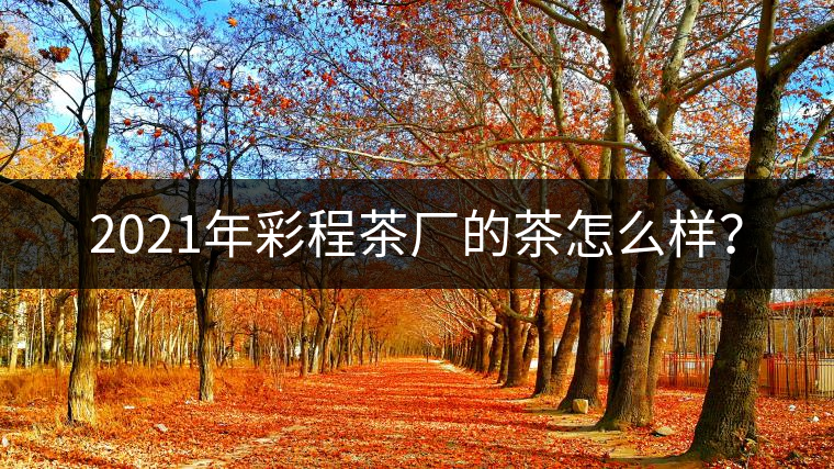 2021年彩程茶廠的茶怎么樣？