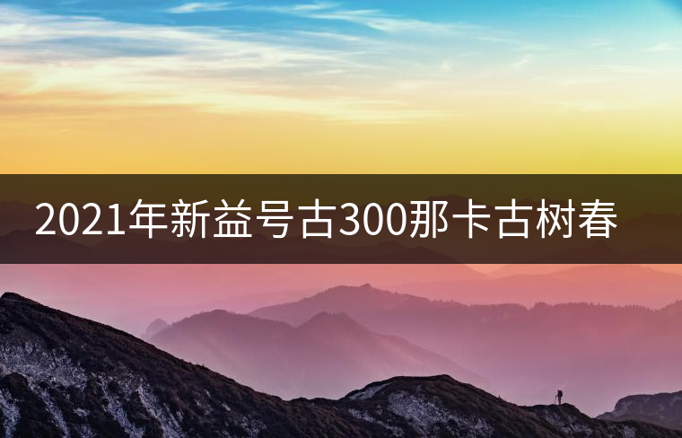 2021年新益號古300那卡古樹春茶口感怎么樣？