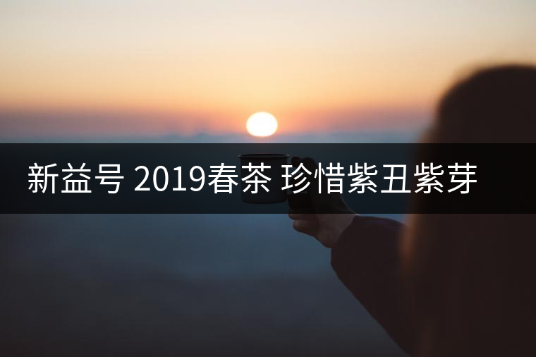 新益號 2019春茶 珍惜紫丑紫芽茶 是什么茶好喝嗎？