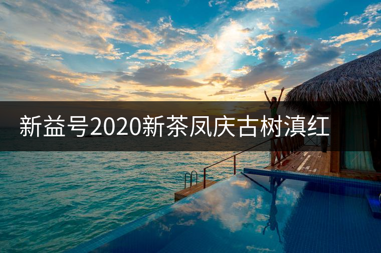 新益號2020新茶鳳慶古樹滇紅茶特級云南大金針金芽金枝品質如何？