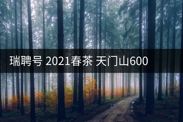 瑞聘號(hào) 2021春茶 天門山600 頭春古樹口感怎么樣？