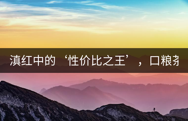 滇紅中的‘性價比之王’，口糧茶首選！