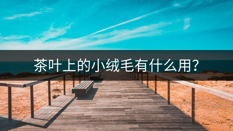 茶葉上的小絨毛有什么用？