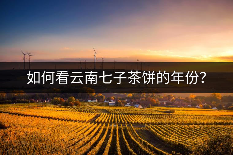 如何看云南七子茶餅的年份？