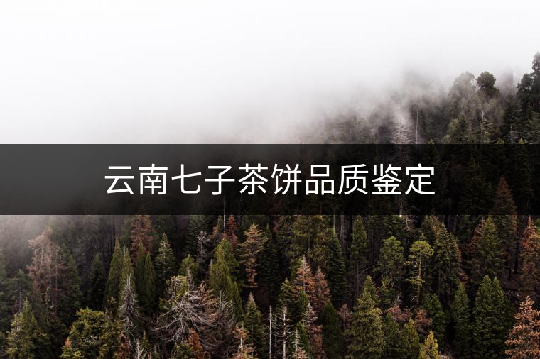 云南七子茶餅品質(zhì)鑒定 云南七子茶餅品質(zhì)鑒定