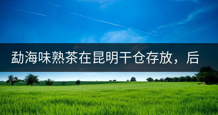 勐海味熟茶在昆明干倉存放，后期轉(zhuǎn)化如何呢？