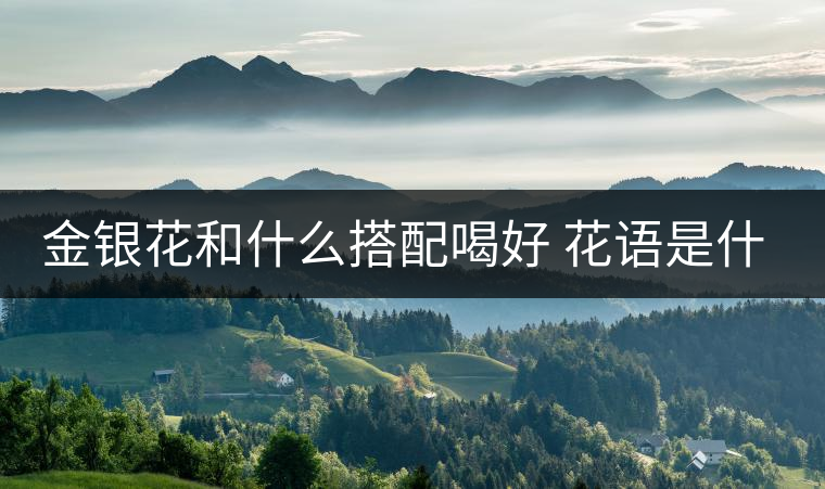 金銀花和什么搭配喝好 花語(yǔ)是什么