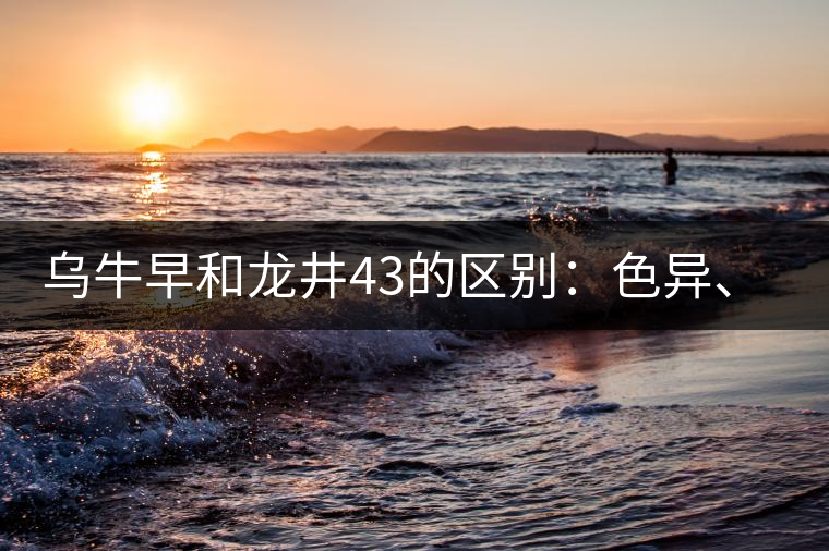 烏牛早和龍井43的區(qū)別：色異、香異、形異