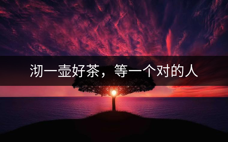 沏一壺好茶，等一個(gè)對(duì)的人