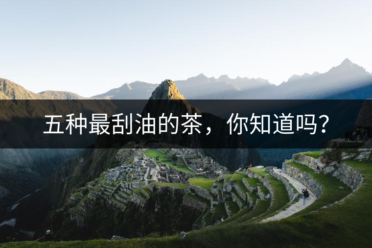五種最刮油的茶，你知道嗎？