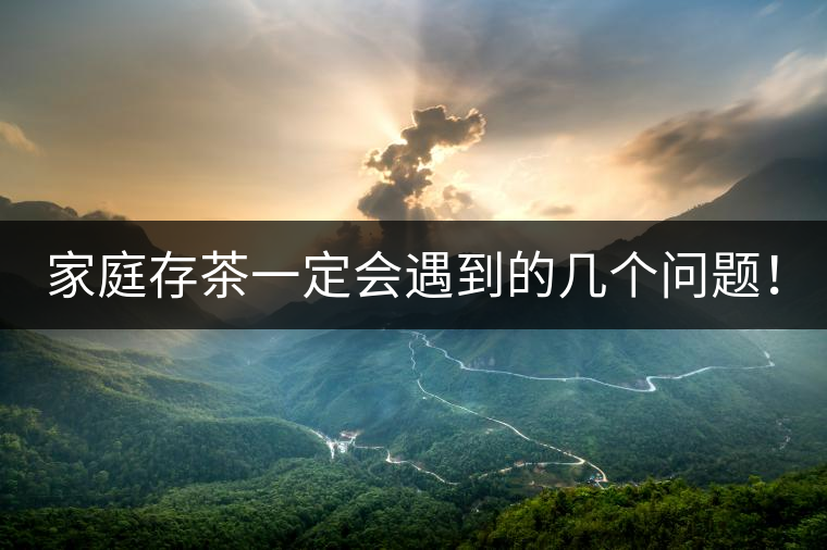 家庭存茶一定會(huì)遇到的幾個(gè)問題！