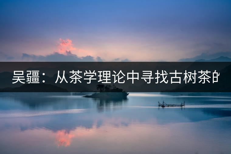 吳疆：從茶學(xué)理論中尋找古樹茶的鑒別方法？（讀書筆記3）