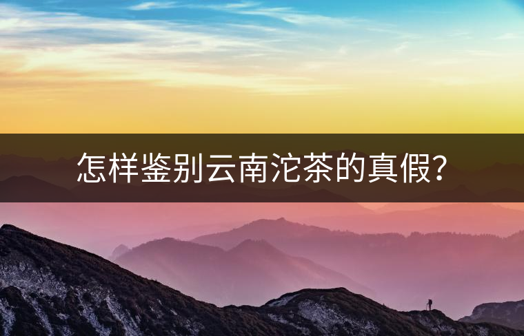 怎樣鑒別云南沱茶的真假？