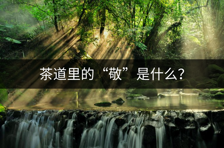 茶道里的“敬”是什么？