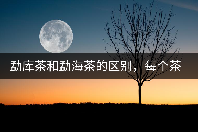 勐庫(kù)茶和勐海茶的區(qū)別，每個(gè)茶友都該了解的選茶常識(shí)！