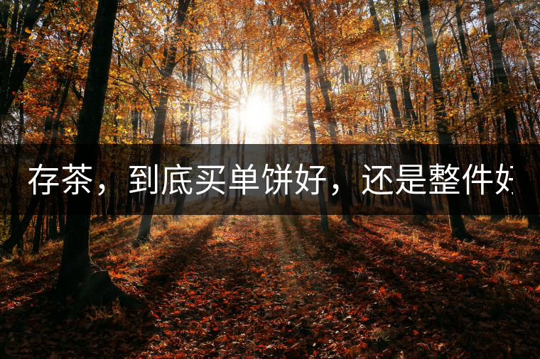 存茶，到底買單餅好，還是整件好？
