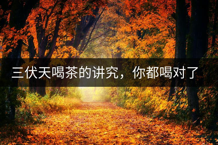 三伏天喝茶的講究，你都喝對(duì)了嗎？