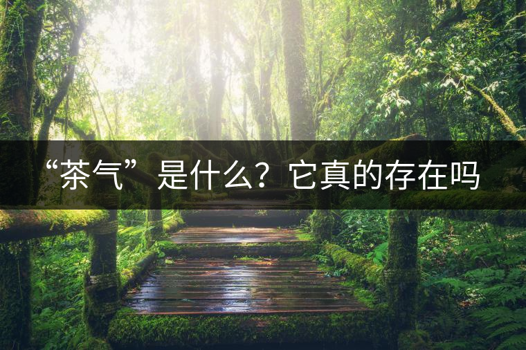 “茶氣”是什么？它真的存在嗎？