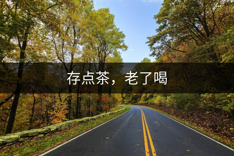 存點(diǎn)茶，老了喝