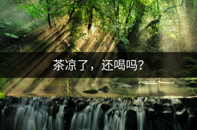 茶涼了，還喝嗎？