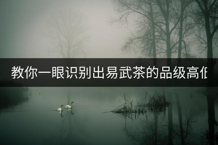 教你一眼識別出易武茶的品級高低！