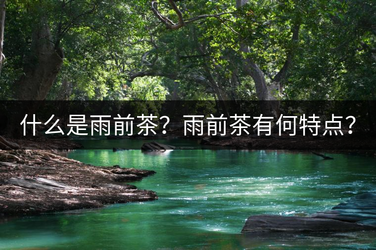 什么是雨前茶？雨前茶有何特點(diǎn)？