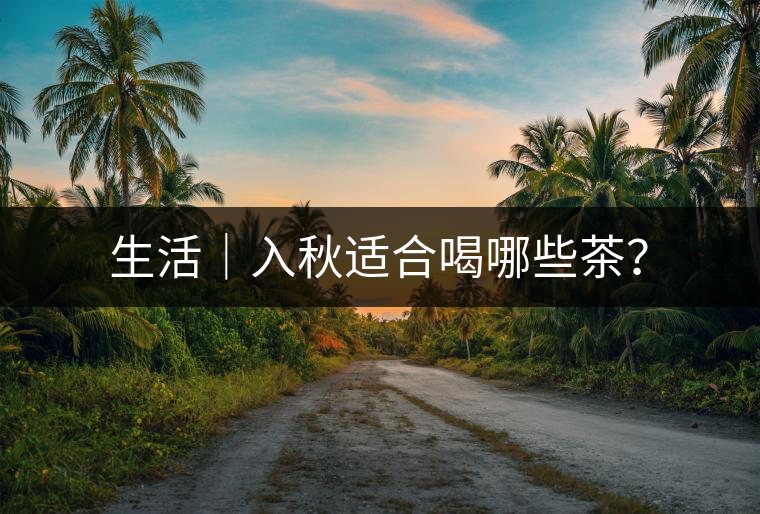 生活｜入秋適合喝哪些茶？