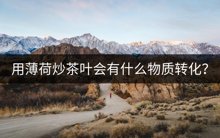 用薄荷炒茶葉會有什么物質(zhì)轉(zhuǎn)化？