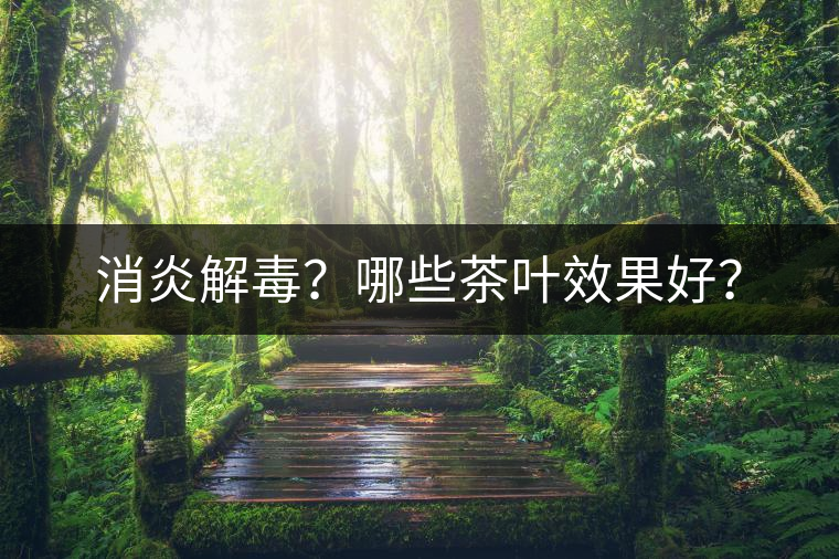 消炎解毒？哪些茶葉效果好？