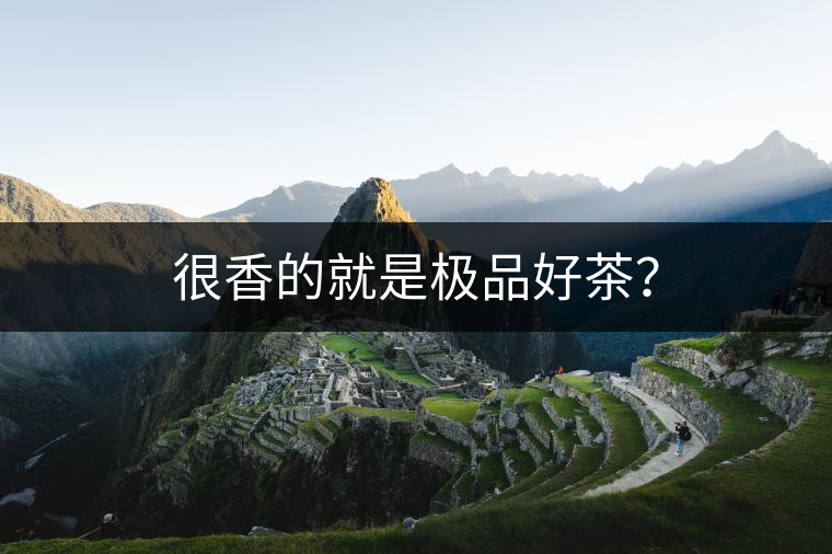 很香的就是極品好茶？