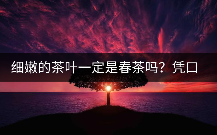 細(xì)嫩的茶葉一定是春茶嗎？憑口感鑒別春茶的方法