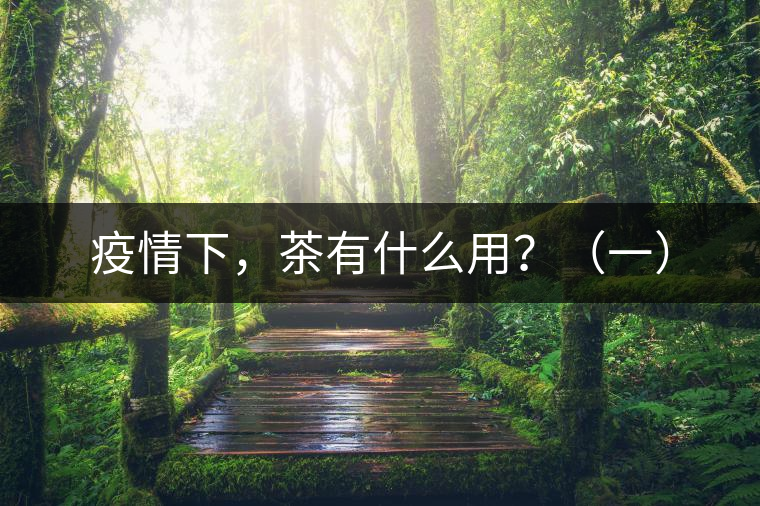 疫情下，茶有什么用？（一）