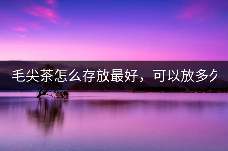 毛尖茶怎么存放最好，可以放多久？