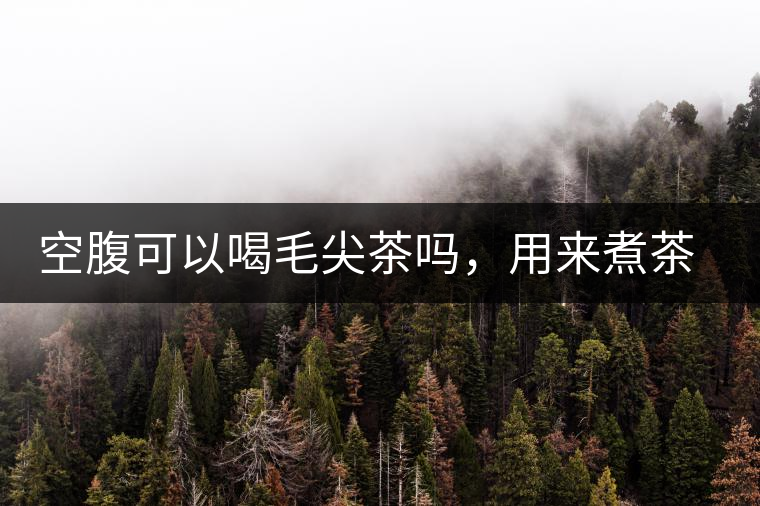 空腹可以喝毛尖茶嗎，用來(lái)煮茶葉蛋怎么樣？