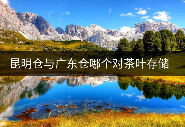 昆明倉與廣東倉哪個(gè)對茶葉存儲更具優(yōu)勢？