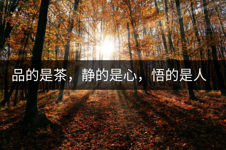 品的是茶，靜的是心，悟的是人生，滌的是靈魂