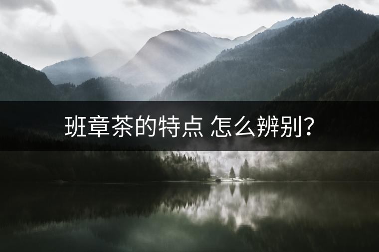 班章茶的特點 怎么辨別？