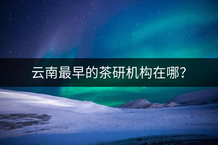 云南最早的茶研機(jī)構(gòu)在哪？