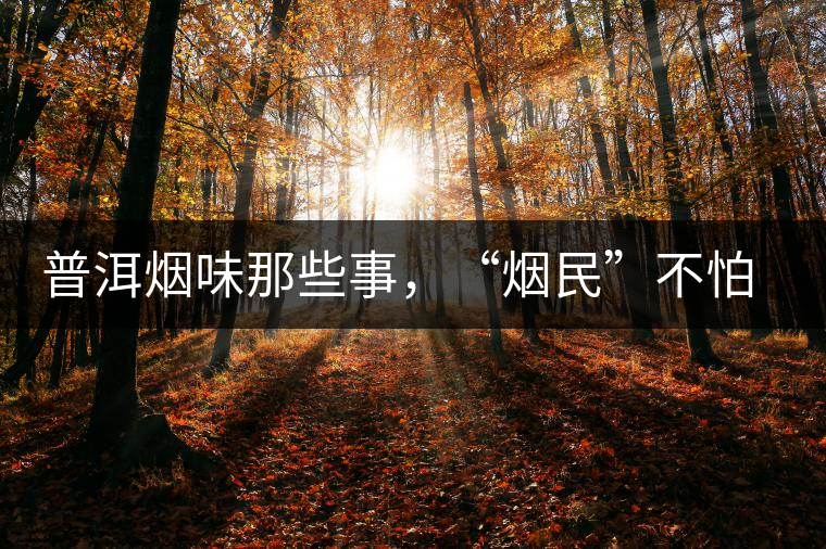 普洱煙味那些事，“煙民”不怕當(dāng)
